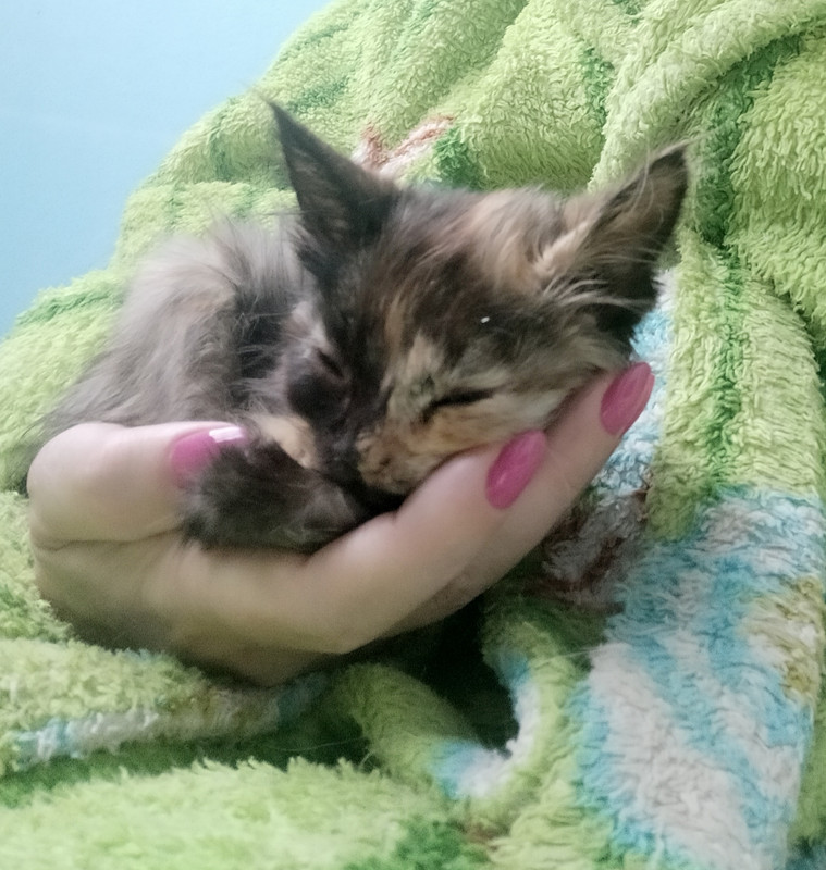 IMG_20201011_083026 (2)