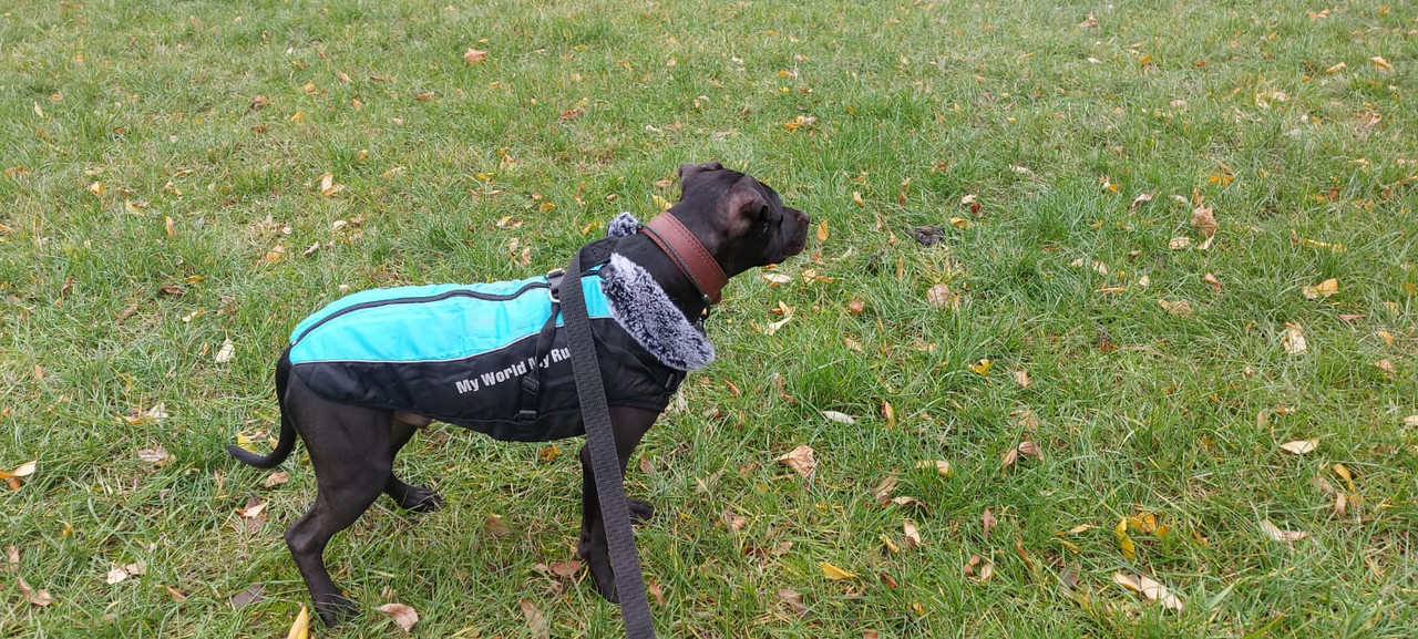 5C2F2AF0-E372-4CA6-9D7A-03CAAB7F7F72