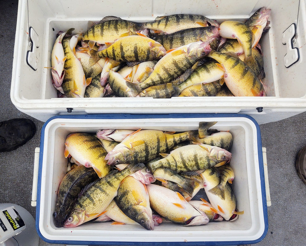 278858302_10160162826641972_3455439462426958157_nperch