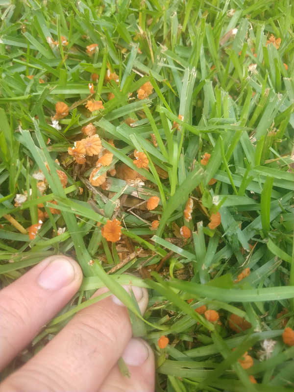 IMG_20200822_112642622