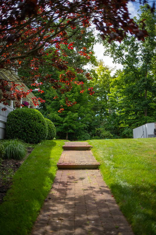 Pear Tree Property Services Reveals Utility Marking Steps Before Fall Landscape Excavation Begins