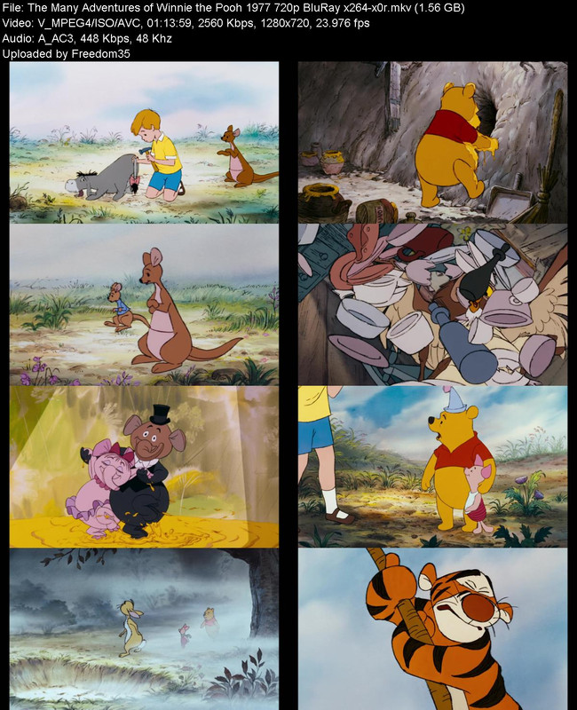 The-Many-Adventures-of-Winnie-the-Pooh-1