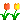 55