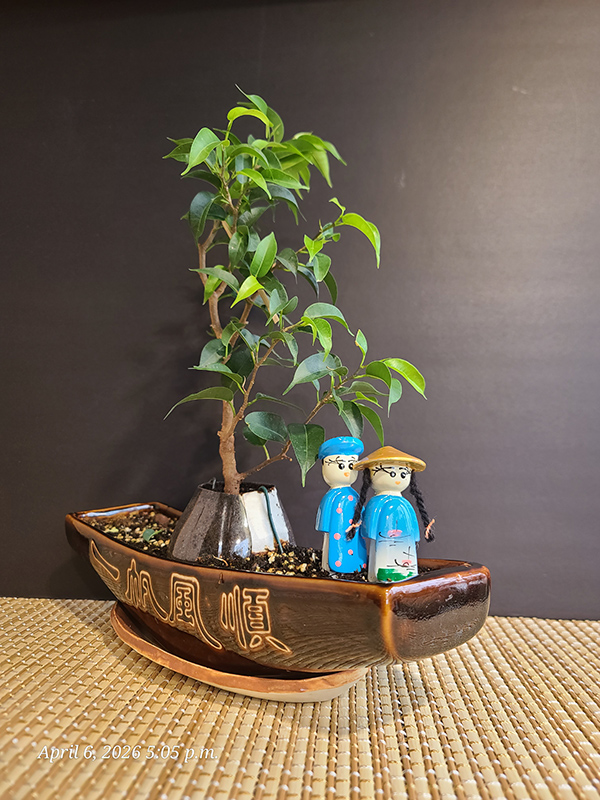 [Image: 20260406-170547.jpg]