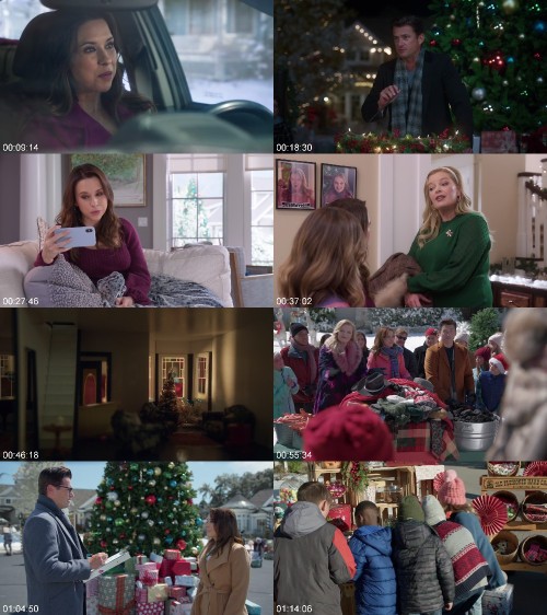 Haul-out-the-Holly-2022-1080p-WEBRip-x265.jpg