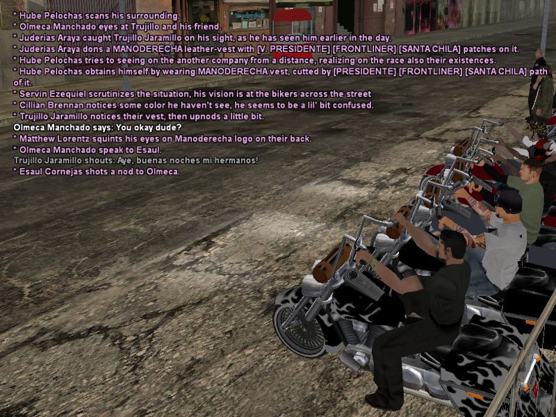 SSRoleplay310.png