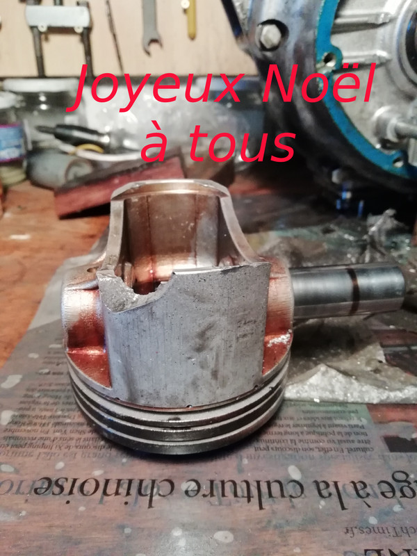 IMG_20181101_092616 (copie)