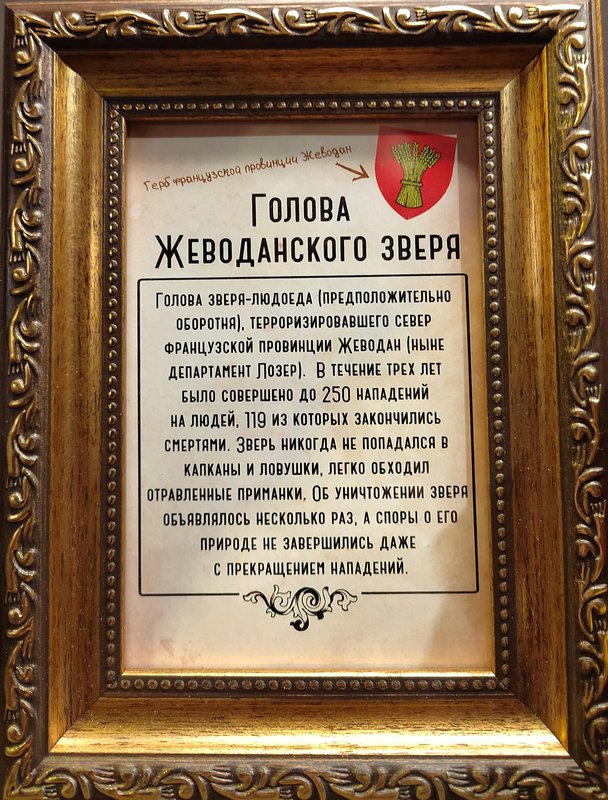 https://i.postimg.cc/P5VsmcZs/015-IMG-20250128-144523.jpg