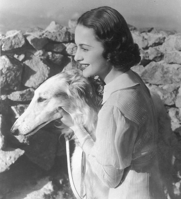 olivia_de_havilland_c43