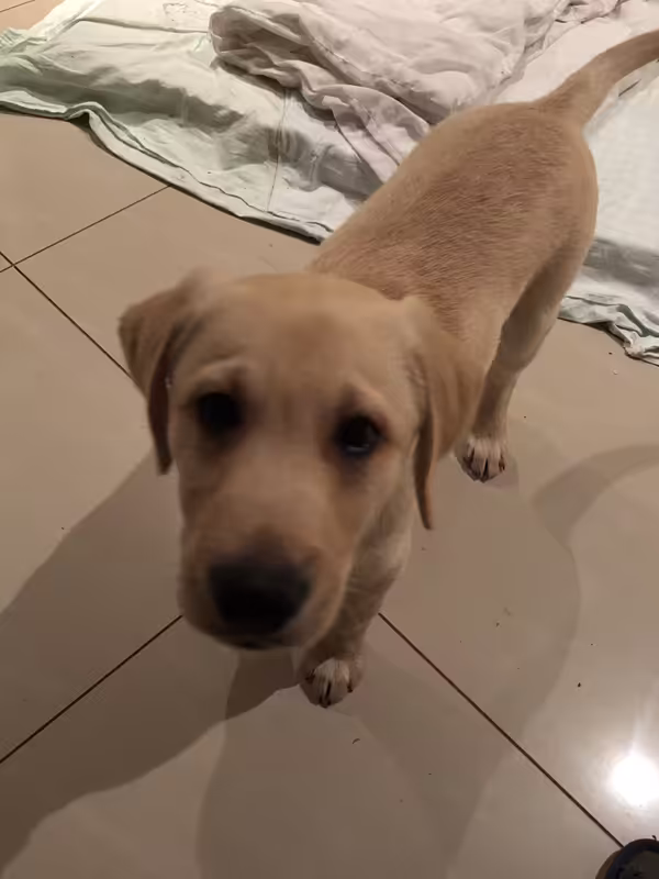 998FCE83-9C51-4D78-8858-F4E6AD53649A