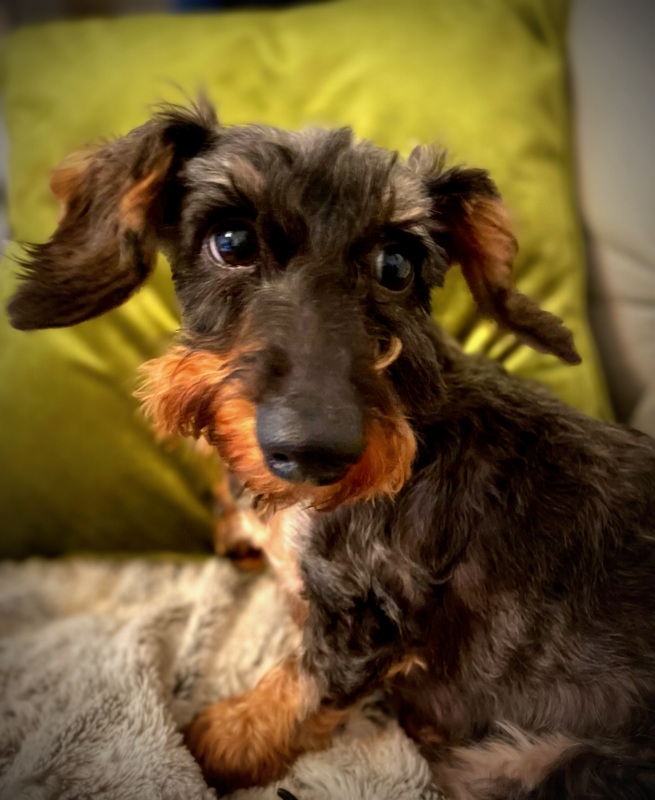 [Image: IMG-2050.jpg]