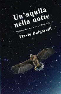 Flavio Bulgarelli - Un'aquila nella notte (2013)