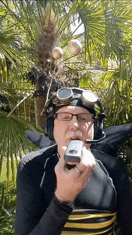 https://i.postimg.cc/P5W7X4mh/1.gif