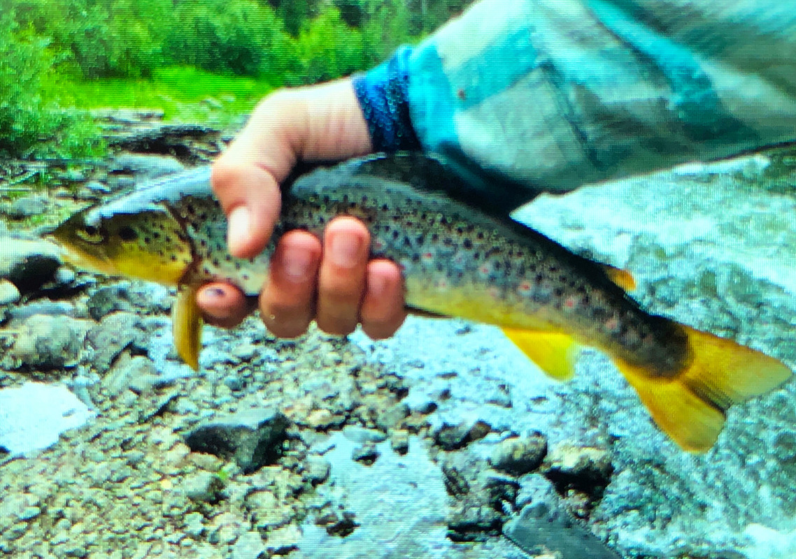 D469F08A-689F-45CE-802D-AB80469B7B8F