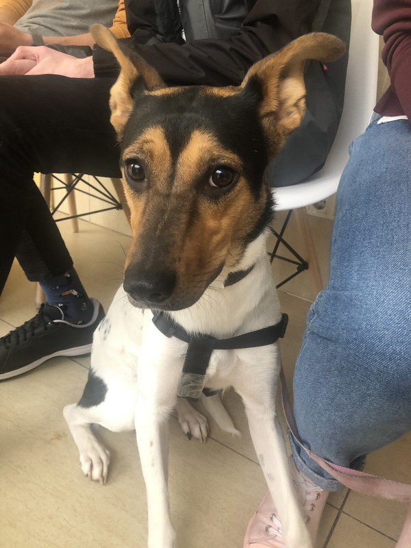 CE7B9B26-41B7-4EC9-9C14-A994E6F3CB04