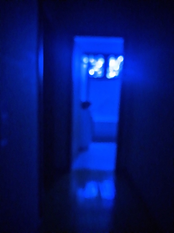 IMG_20211224_234932_tigr