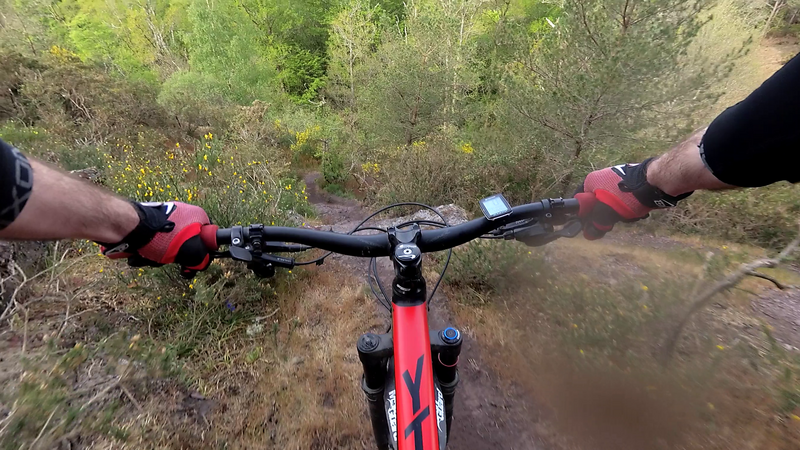 vlcsnap-2021-05-09-14h55m10s358