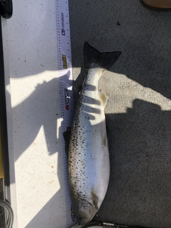 2760D3FA-409A-4C74-AD71-52EBB02074BA