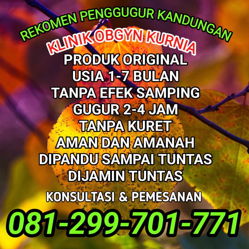 20241228 184028