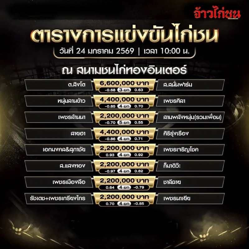 โปรแกรมไก่ชน สนามชนไก่ทองอินเตอร์ วันที่ 24 มกราคม 2569 ตารางการแข่งขันทั้งหมด