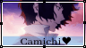 https://i.postimg.cc/P5XRvrqt/Camichi-2.gif