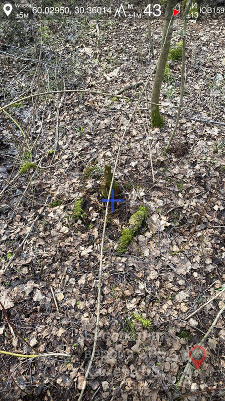 IMG 20260430 145300 541