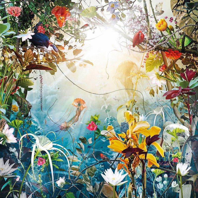 5cee4705039b6f6dbdadcf76-04-marine-dream-jesper-krijgsman-web