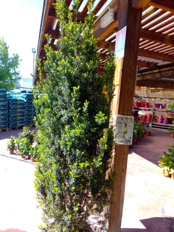 IMG_20210418_111743 (1)