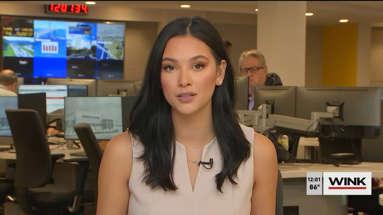 11.03 - 16.00.00 - The WINK Noon News  ᴺᵉʷ. Midday news update..ts_snapshot_07.58.159