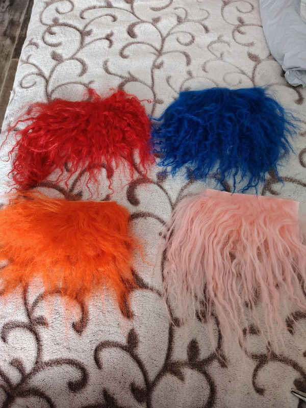 photo 2026 01 19 16 29 11