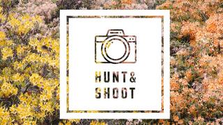 Hunt & Shoot Pattern and Texture Photography