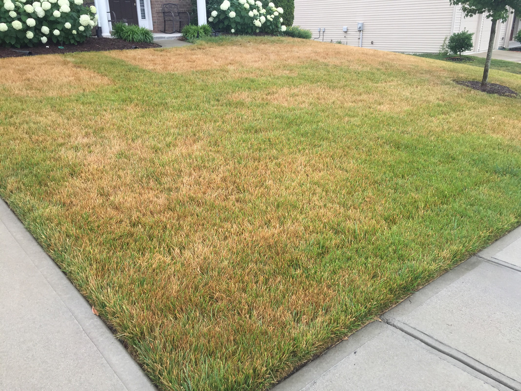 DF186826-D519-414C-A03F-3586EA8C7120