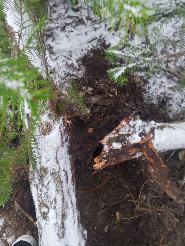 IMG 20251122 125746 187