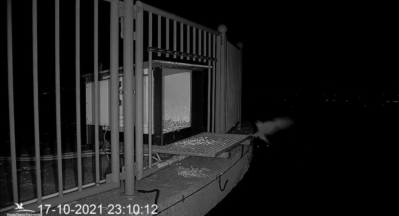 campics vanaf 1 juli © VWGGemert en bonusjes van ter plekke - Pagina 37 Video-2021-10-18-061225-Moment-2