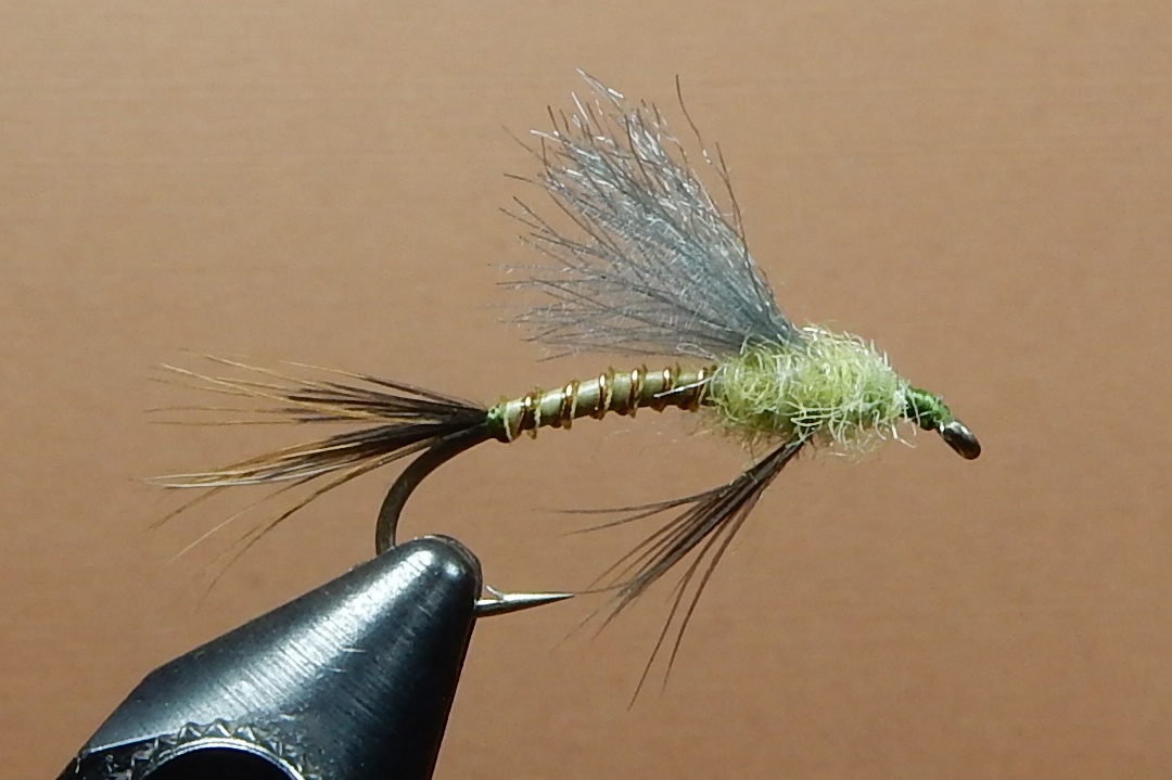 CDC-Green-Drake-Emerger-2-1080.jpg