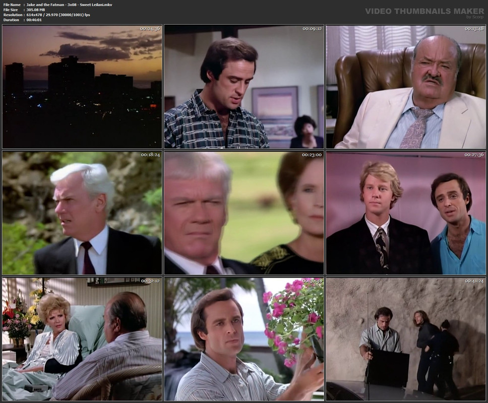 Jake and the Fatman - 3x08 - Sweet Leilani.mkv