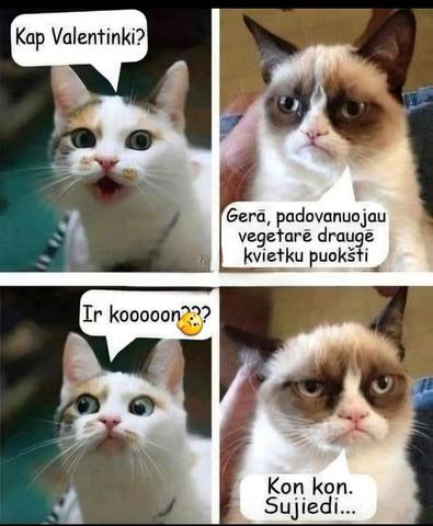 Paveikslėlis