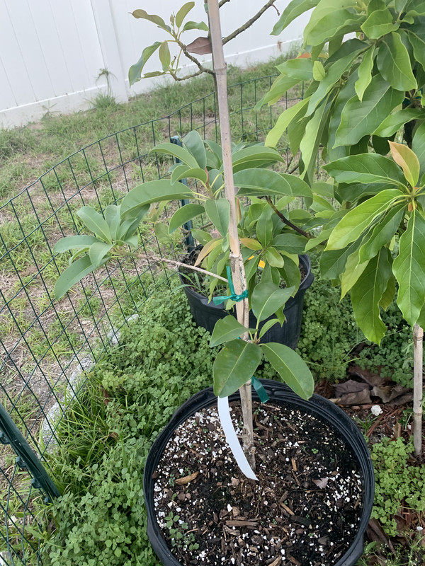 4536C401-068D-4496-BA85-93CA87143452