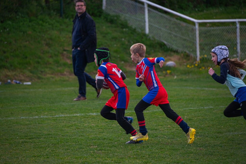 tournoi-de-latlantique-2026-adonis-griffon-115-55181288241-l