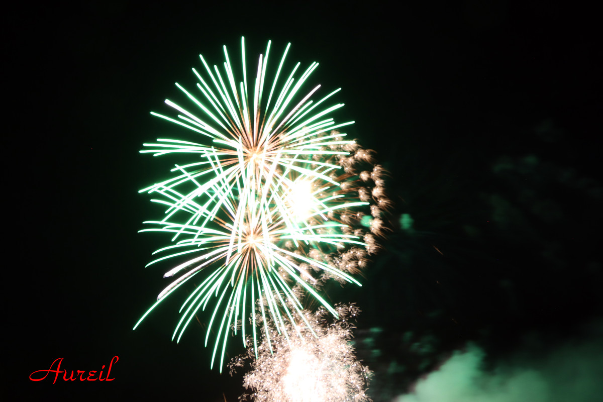 IMG-3383.jpg