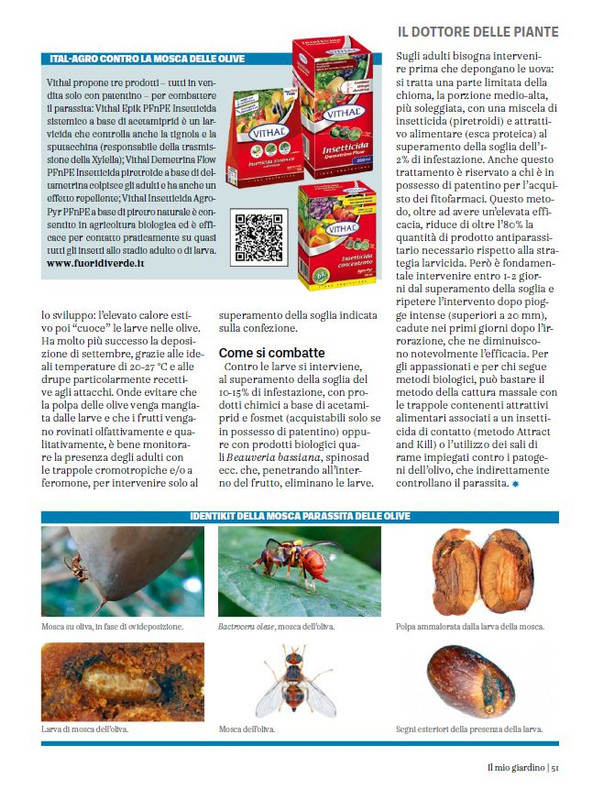 Il Mio Giar Ott-Nov 2023 (10)