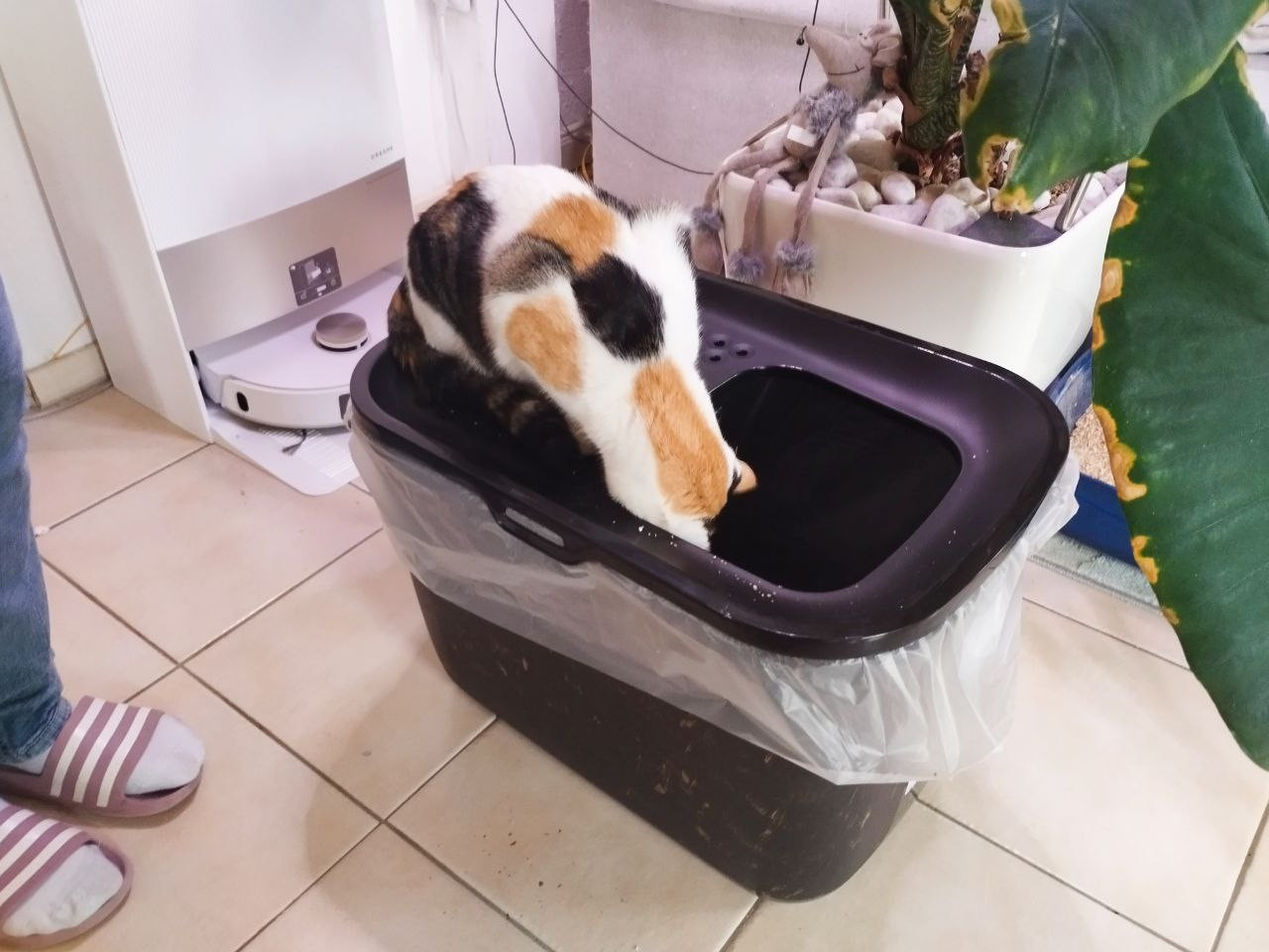 photo 2026 02 06 17 31 58