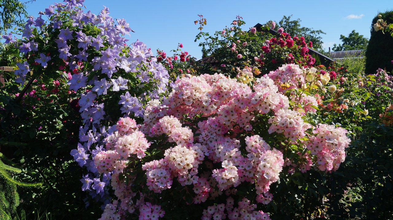 DSC01928