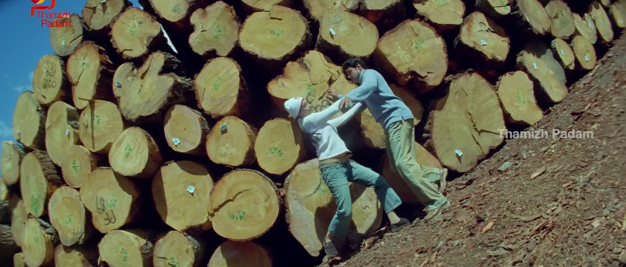 vlcsnap-2025-09-30-17h40m10s331