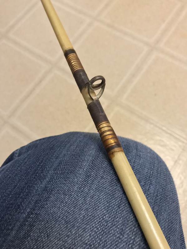 B0117556-88A4-4554-A36E-E59548260372