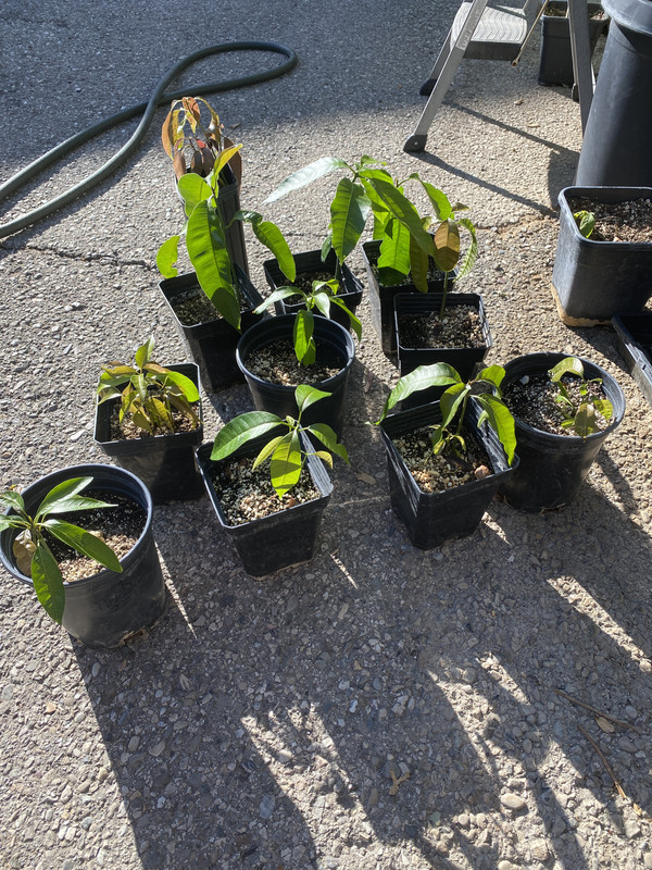 1814EE8B-2E25-409E-9521-772E757AC8E4