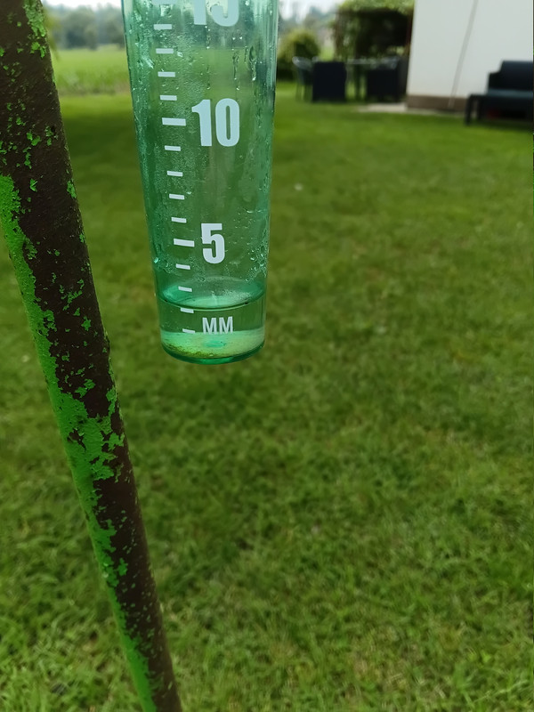 20260616-101529.jpg