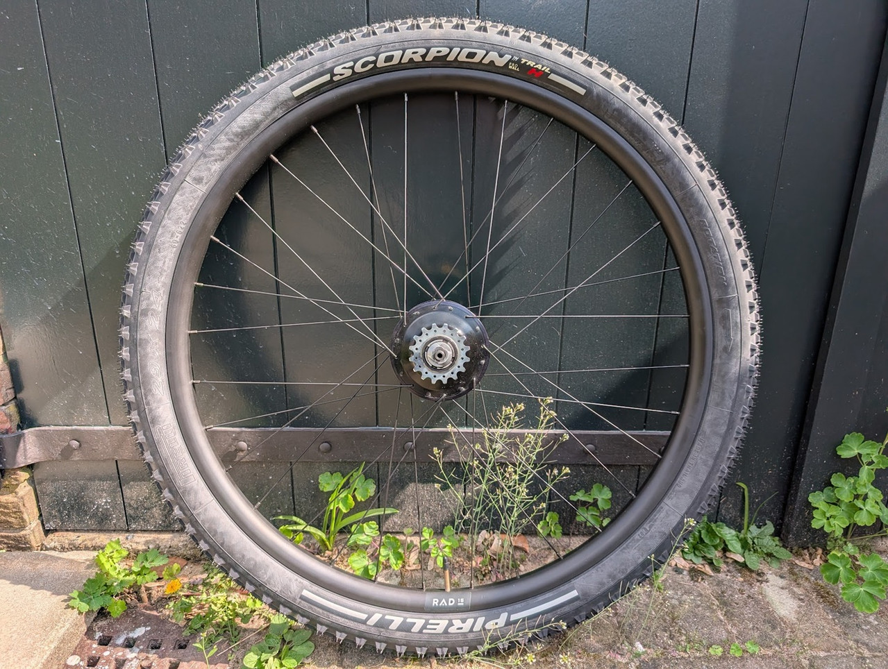 Rohloff Wiel
