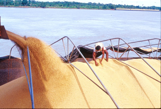 Transbordo de Soja Brazil