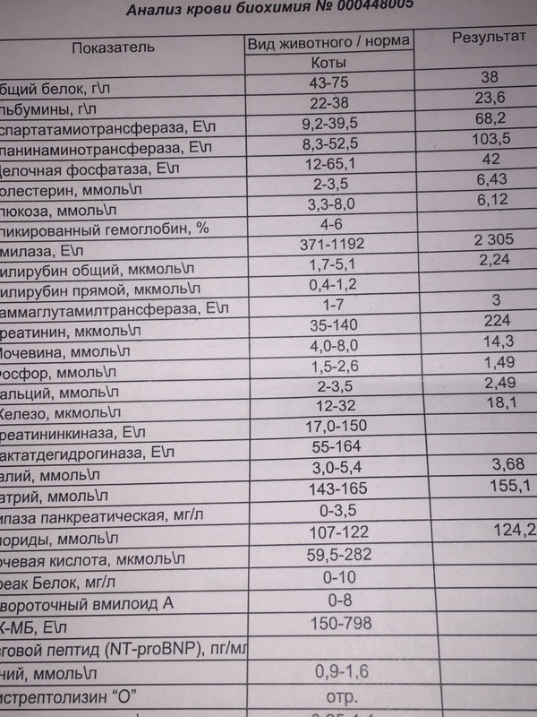 DCB0753C-365D-4A94-88DB-2B7D2B0AD2F2